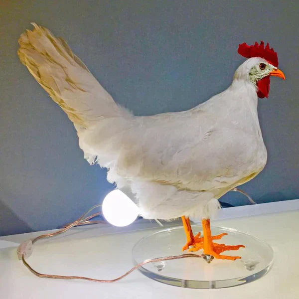 Chicken Egg Lamp